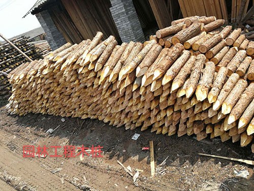 園林綠化樁如何提升城市生態(tài)品質