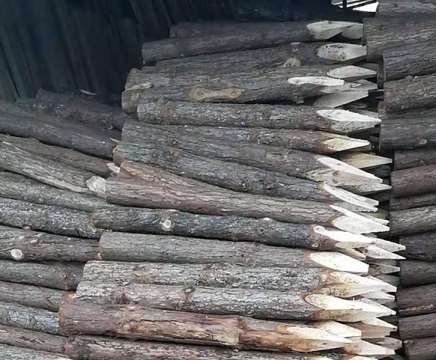 延長杉木樁使用壽命的主要手段