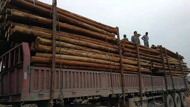 生態(tài)木樁加工廠 生態(tài)木樁加工廠
